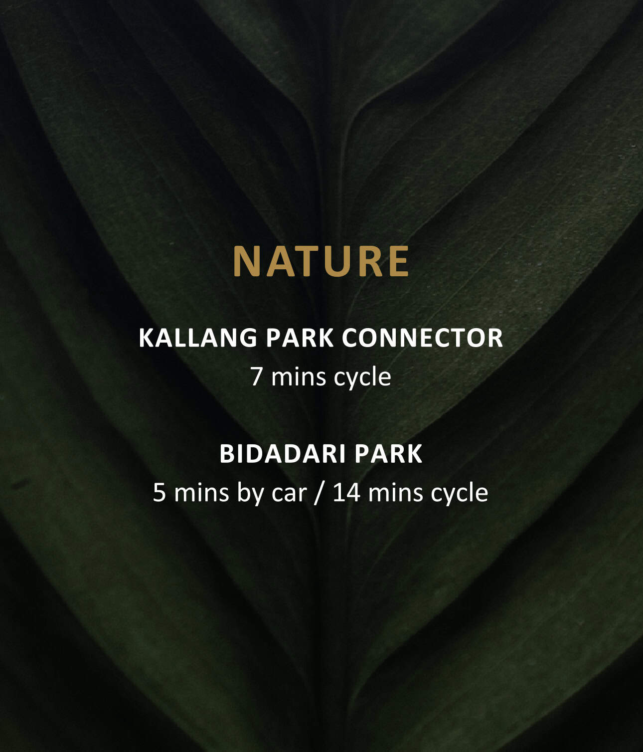 CT Gold @ Macpherson | Freehold B1 Industrial CT GOLD Nature